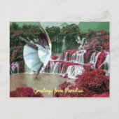 Groeten uit het Briefkaart van Paradise (Voorkant)