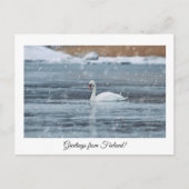 Groeten uit het Finse briefkaart (Voorkant)