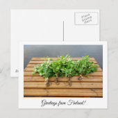 Groeten uit het Finse sauna-briefkaart Briefkaart (Voorkant / Achterkant)
