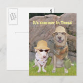 Groeten uit het hete Zuiden! Briefkaart (Voorkant / Achterkant)