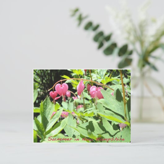 Groeten uit het meer van Sunapee Briefkaart (Staand voorkant)