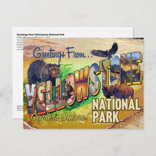 Groeten uit het nationale park van Yellowstone Briefkaart (Voorkant / Achterkant)
