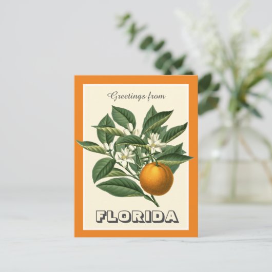  groeten uit het Oranje van Florida Briefkaart (Staand voorkant)
