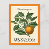  groeten uit het Oranje van Florida Briefkaart (Voorkant)