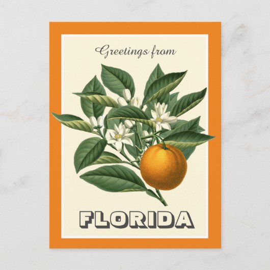  groeten uit het Oranje van Florida Briefkaart (Voorkant)