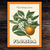  groeten uit het Oranje van Florida Briefkaart