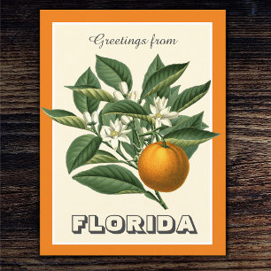  groeten uit het Oranje van Florida Briefkaart