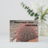 Groeten uit het Plant van de rode Barrel van Arizo Briefkaart (Staand voorkant)