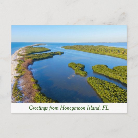 Groeten uit Honeymoon Island, Florida briefkaart (Voorkant)