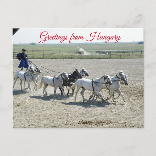 Groeten uit Hongarije Briefkaart (Voorkant)