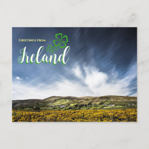 Groeten uit Ierland Schitterende Ansichtkaart   Briefkaart