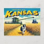 Groeten uit Kansas Wheat Combineer Border Collie Briefkaart (Voorkant)