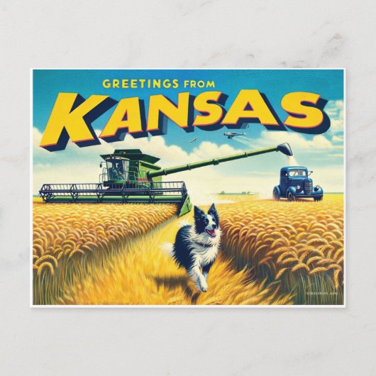 Groeten uit Kansas Wheat Combineer Border Collie Briefkaart (Voorkant)