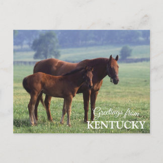 groeten uit Kentucky Briefkaart