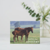 groeten uit Kentucky Briefkaart (Staand voorkant)