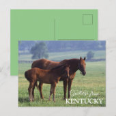 groeten uit Kentucky Briefkaart (Voorkant / Achterkant)