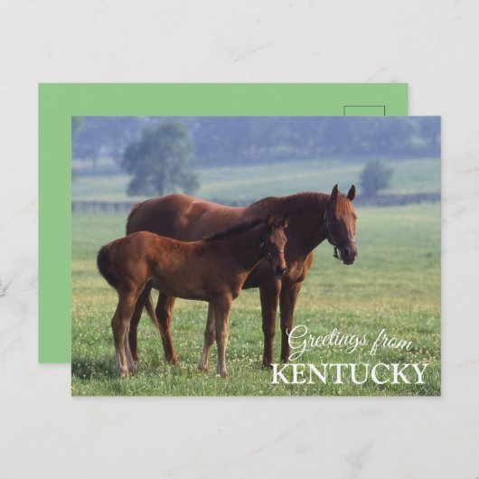 groeten uit Kentucky Briefkaart (Voorkant / Achterkant)
