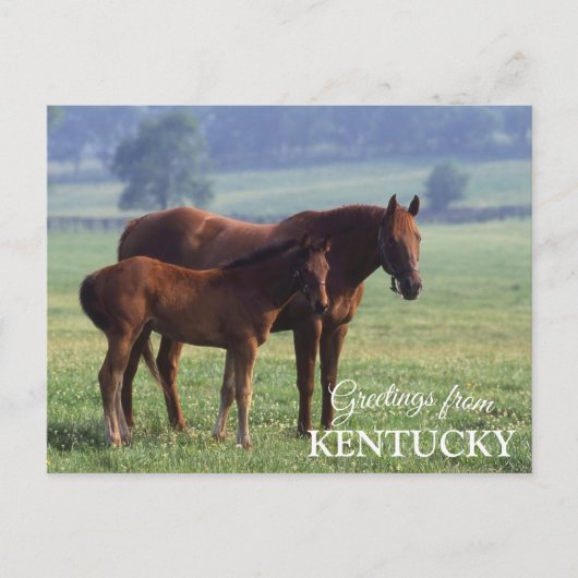 groeten uit Kentucky Briefkaart (Voorkant)