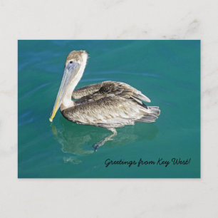 Groeten uit Key West briefkaart