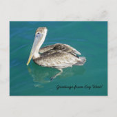 Groeten uit Key West briefkaart (Voorkant)