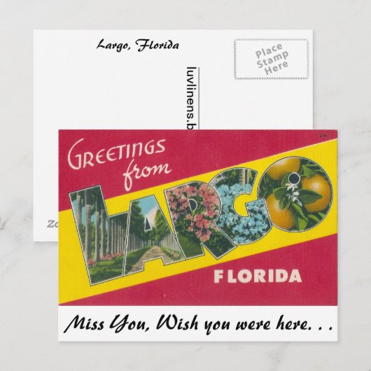 Groeten uit Largo, Florida Briefkaart (Voorkant / Achterkant)