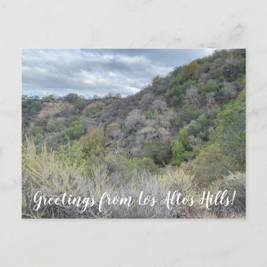 Groeten uit Los Altos Hills. Briefkaart (Voorkant)