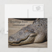 Groeten uit Louisiana Briefkaart (Voorkant / Achterkant)
