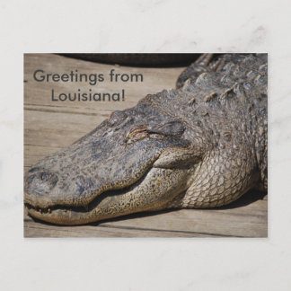 Groeten uit Louisiana Briefkaart
