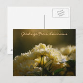 Groeten uit Louisiana Briefkaart (Voorkant / Achterkant)