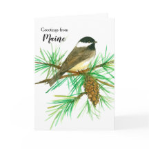 Groeten uit Maine Black Capped Chickadee