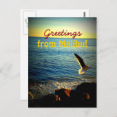 Groeten uit Malibu! Briefkaart (Voorkant / Achterkant)
