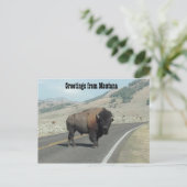 Groeten uit Montana Briefkaart (Staand voorkant)