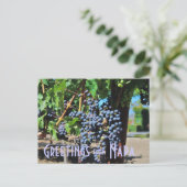 Groeten uit Napa Valley California Briefkaart (Staand voorkant)