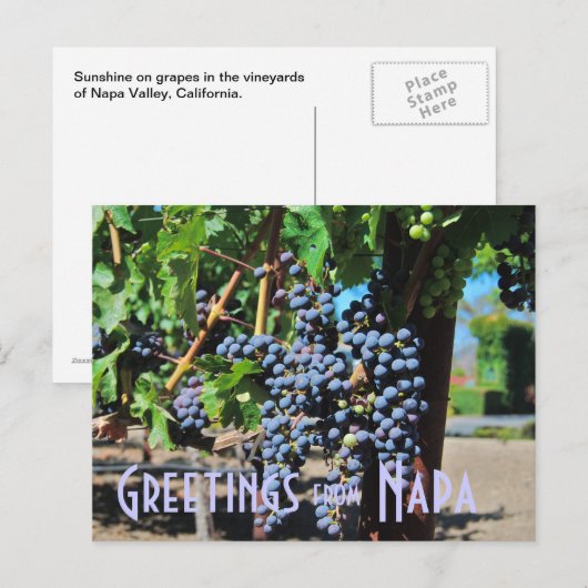 Groeten uit Napa Valley California Briefkaart (Voorkant / Achterkant)