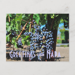 Groeten uit Napa Valley California Briefkaart