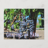 Groeten uit Napa Valley California Briefkaart (Voorkant)