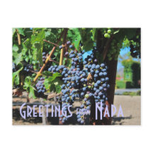 Groeten uit Napa Valley California