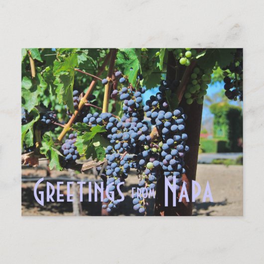 Groeten uit Napa Valley California Briefkaart (Voorkant)