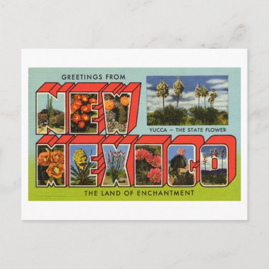  groeten uit New Mexico Briefkaart (Voorkant)
