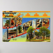 Groeten uit New Mexico Poster (Voorkant)