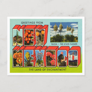 Groeten uit New Mexico Vintage Travel Briefkaart