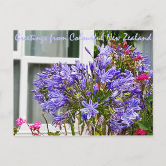 Groeten uit Nieuw-Zeeland Briefkaart