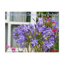 Groeten uit Nieuw-Zeeland