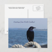 Groeten uit North Carolina (Black Bird) Briefkaart (Voorkant / Achterkant)