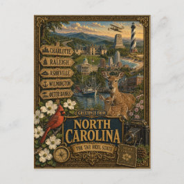 Groeten uit North Carolina | Vintage Retro Kunst Briefkaart
