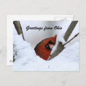 Groeten uit Ohio Briefkaart (Voorkant / Achterkant)