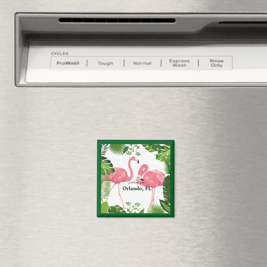 Groeten uit Orlando, Florida Magneet (Insitu (Vaatwasser))