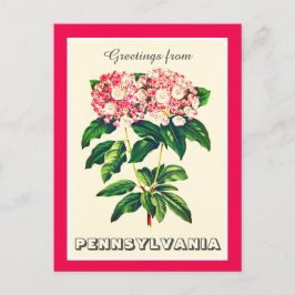 Groeten uit Pennsylvania Mountain Laurel Briefkaart