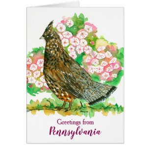 Groeten uit Pennsylvania Ruffed Grouse Laurel
