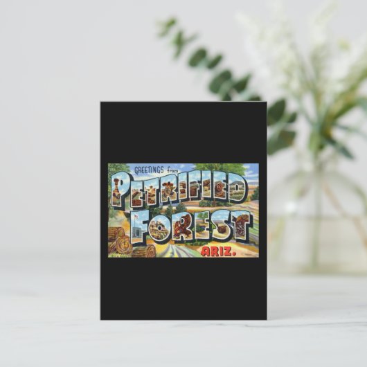 Groeten uit Petrified Forest Arizona Briefkaart (Staand voorkant)
